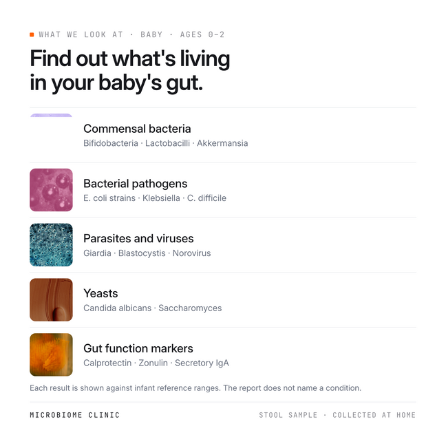 What the Baby test report looks at