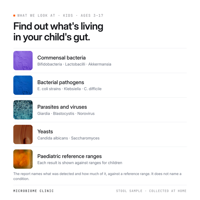What the Kids test report looks at