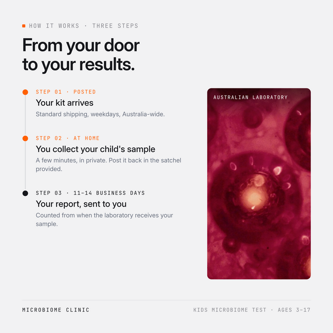 How the Kids test works, in three steps