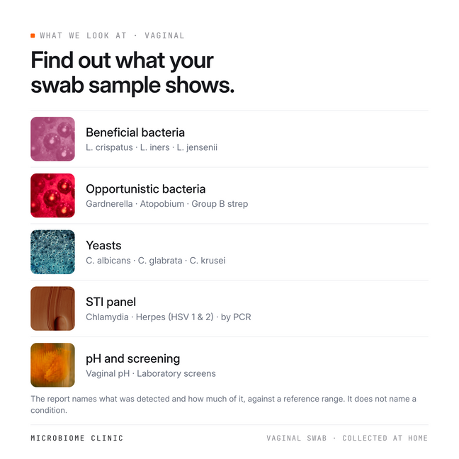 What the Vaginal test report looks at